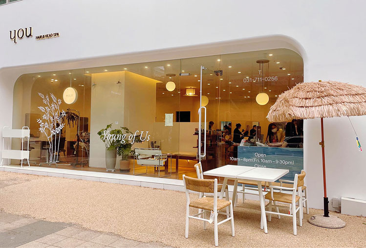 ハリビ韓国就職イメージ2